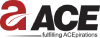 ACE Group